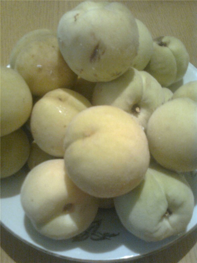 za ponudit
